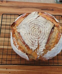 Jovial Einkorn 100% Organic Einkorn All Purpose Flour - Baking Flour, High Protein, Non-GMO, USDA Certified Organic, Unbleached Flour, Product of Italy, Organic All Purpose Flour - 32 Oz, 5 Pack 2 Pound (Pack of 5) 42 71slz2zaYKL