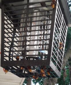 Flowtron Bug Zapper, 1/2 Acre of Outdoor Coverage with Powerful 15W Bulb & 5600V Instant Killing Grid, Electric Insect, Fly & Mosquito Zapper, Made in The USA 32 71smTCX73bL