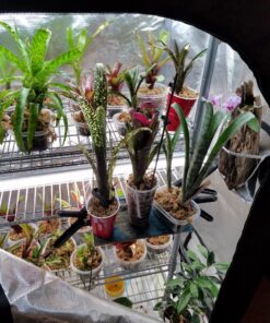 iPower 48"x24"x60" Grow Tent with Observation Window and Removable Floor Tray, Tool Bag for Indoor, 24" x 48" x 60", Black/Silver 24" x 48" x 60" 26 71sn3OLDd6L