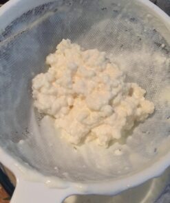 Kefir Grains - Living Probiotic Enriched "As seen on TV" 18 71snRLt3WzL