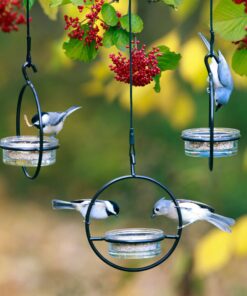 Mosaic Birds Hummble Basic Bird Feeder, M045-200, 3.4 Ounce Capacity, Clear, 1 Piece 27 71soFU97HEL