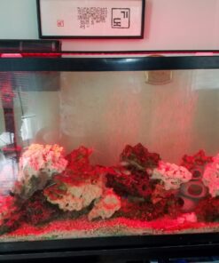 Finnex Planted 24/7 Fully Automated Aquarium LED, 36-Inch Not Controllable 36 Inch 37 71spsOAWrrL