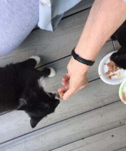 Purina ONE High Protein, Natural Dry Kitten Food, +Plus Healthy Kitten Formula - 16 lb. Bag Dry Food Chicken 16.00 Pound (Pack of 1) 40 71sqE37BoL