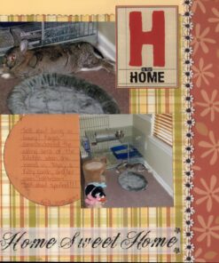 Epson Perfection V39 Color Photo & Document Scanner with Scan-To-Cloud & 4800 Optical Resolution, Black 49 71ss0pANLaL 1