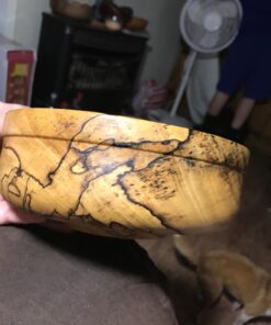 JET 12" x 21" Woodworking Lathe, Variable Speed, 1Ph 115V (JWL-1221VS) Variable Speed Wood Lathe 55 71st6K3ULhL