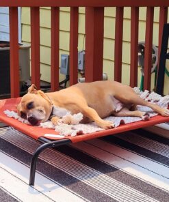 Coolaroo The Original Cooling Elevated Dog Bed, Indoor and Outdoor, Large, Terracotta 51.0"L x 31.5"W x 8.0"Th 35 71su8oIrUgL