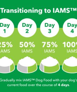 IAMS Adult Minichunks Small Kibble High Protein Dry Dog Food with Real Chicken, 30 lb. Bag,(Packaging may vary) 0 30 Pound (Pack of 1) 32 71svCJJ2chL 2