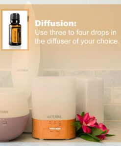 DoTerra Rosemary, Cilantro, and Juniper Berry Essential Oil - 15 mL - Detoxifying 1.69 Fl Oz (Pack of 1) 11 71syBbRCHGL