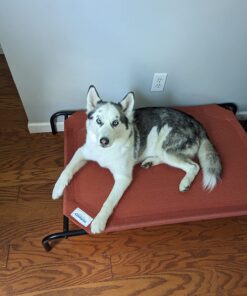 Coolaroo The Original Cooling Elevated Dog Bed, Indoor and Outdoor, Large, Terracotta 51.0"L x 31.5"W x 8.0"Th 38 71t01M8FdgL