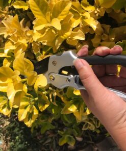 gonicc 8" Professional SK-5 Steel Blade Sharp Anvil Pruning Shears (GPPS-1001),Less effort. Pruning Scissors, Bonsai Cutters 45 71t0m8n557L
