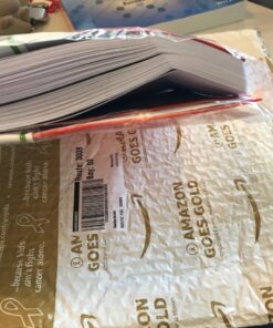 Panda Planner Pro - Best Daily 2023 Planner for Happiness & Productivity - 8.5 x 11" Softcover - Undated Day 6 Month Planner - Guaranteed to Get You Organized - Gratitude & Goals Journal (Orange) Orange 26 71t2IakovNL 1