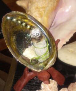 Vrinda ®Abalone Shell and 6'' Wooden Tripod Stand 31 71t2eDWc16L