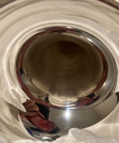 MusicNomad Silver Polish for Silver & Silver-Plated Instruments, 4 oz (MN701) 41 71t2hK2ZvPL