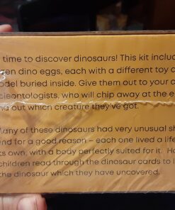 Dig a Dozen Dino Egg Dig Kit for Kids - Dinosaur Toys Gift 3-12 Year Old - 12 Eggs & Surprise Dinosaurs - Science STEM Activities - Educational Boy Toy Party Gifts for Boys & Girls Ages 3-5 4-7 5-7+ 70 71t33HVcBBL
