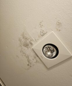 MOLD ARMOR Mold and Mildew Killer + Quick Stain Remover, 32 oz., Trigger Spray Bottle, Eliminates 99.9% of Household Bacteria and Viruses, Ideal Bathroom Mold and Mildew Remover 34 71t5n1eshKL