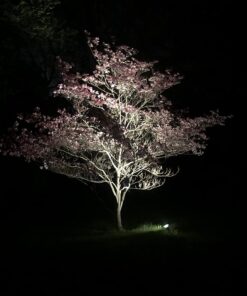 Hubbell-Bell SL101B Portable Spike Light Par 38 Bulb Bronze Finish, 75-150 Watt 29 71t6yTW19aL