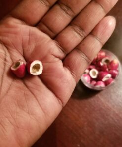 The Travel Jar, Miracle Berry As Seen On TV & Tiktok, Premium Ledidi Fruit By Nature's Wild Berry, Turn Sour Sweet With Flavor Changing Berries aka "Magic Berries" 1 Ounce (Pack of 1) 33 71t74XJlItL 4