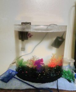 Tetra ColorFusion Starter aquarium Kit 3 Gallons, Half-Moon Shape, With Bubbler And Color-Changing Light Disc 49 71t7W42pcNL