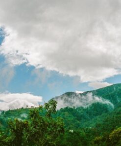 Kodak Ektar 100 Professional ISO 100, 35mm, 36 Exposures, Color Negative Film 34 71t8Ia6thuL