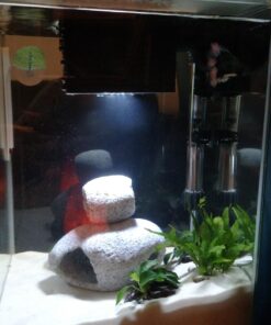 Fluval Chi II Series Aquarium Set, 5-Gallon - Aquarium Tank with Ambient LED Lighting, Flowing Water, and Elegant Design, White 5 gal 53 71t8Ui4NH2L