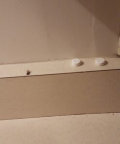 Harris Roach Tablets, Boric Acid Roach Killer with Lure for Insects (4oz, 96 Tablets) 4 oz 32 71t9qCrtekL