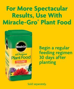 Miracle-Gro 75052430 All-Purpose Garden Soil, 2 CF 23 71tCGiPuzL