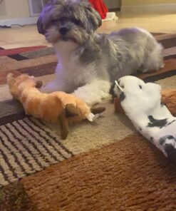 SHARLOVY Dog Squeaky Toys No Stuffing 6 Pack Dog Toys Crinkle Dog Toys for Small Dogs Durable Dog Chew Toys Plush Cute Animals Natural Puppy Toys for Teething Pet Toys Squeak 29 71tEWcqPxML