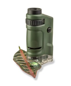 Carson MicroBrite 20x-40x LED Lighted Pocket Microscope for Learning, Education and Exploring (MM-24) 1 MicroBrite Microscope (MM-24) 29 71tFCTygDQL
