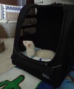 Pet Gear I-GO2 Roller Backpack, Travel Carrier, Car Seat for Cats/Dogs, Mesh Ventilation, Included Tether, Telescoping Handle, Storage Pouch 22.0"L x 13.5"W x 16.0"H 39 71tFEJ0ME0L