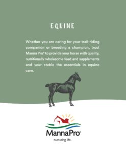 Manna Pro Bite-Size Peppermint Flavor Nuggets | Packed with Vitamins and Minerals | 1 Pound 21 71tG87Vss5L