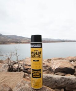 Sawyer Products SP618 Premium Permethrin Insect Repellent for Clothing, Gear & Tents, Aerosol Spray, 18-Ounce 18-oz Aerosol Spray 9 71tIa0Q6CUS