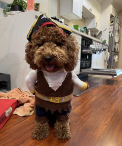 NACOCO Pet Dog Costume Pirates of The Caribbean Style (Medium) Medium Brown 31 71tJdWWR3SL