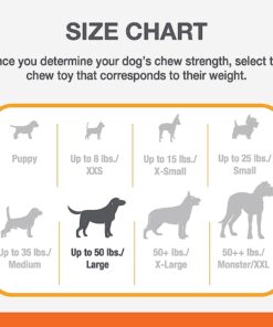 Nylabone Classic Power Chew Toys Twin Pack - Dog Toys for Aggressive Chewers - Tough & Durable Dog Bones for Large Dogs - Bacon and Chicken Flavors, Large/Giant (2 Count) Large/Giant - Up to 50 lbs. Variety 24 71tLWGpwQAL 2