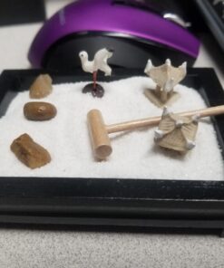 Toysmith Mini Zen Garden - Colors May Vary 1 35 71tRHvP0CSL