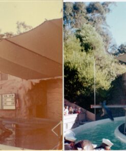 Epson Perfection V600 Color Photo, Image, Film, Negative & Document Scanner V600 - New 59 71tS4Edu14L 2