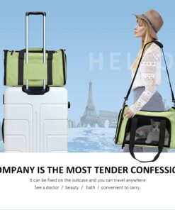Henkelion Pet Carrier for Small Medium Cats Dogs Puppies up to 15 Lbs, Airline Approved Small Dog Carrier Soft Sided, Collapsible Travel Puppy Carrier - Green 17.0"L x 11.0"W x 11.0"H 27 71tTZVCeBuL