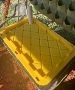 Uncle Jim's Worm Farm 2000 Count Red Wiggler Worms 23 71tVPWKJV6L