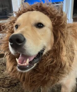 Pet Krewe Large Dog Lion Mane Halloween Costume – Fits Neck Size 13”- 32”- Lion Mane for Small Dogs – Ideal for Halloween, Dog Birthday, Dog Cosplay, Dog Outfits, Pet Clothes 37 71tVjInuYzL