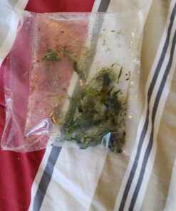 Microsorum Java Fern and Hornwort | Easy Low Light Aquarium Plants 44 71tZDBx1RL