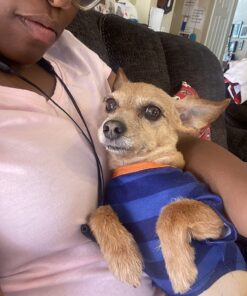 earthbath, Hypo-Allergenic Grooming Wipes – Fragrance Free Dog Wipes for Paws and Butt, Pet Wipes for Dogs with Sensitive Skin, Made in USA, Cruelty-Free Dog Cleaning Wipes – 100 Count (1 Pack) 21 71tcLkQv0bL