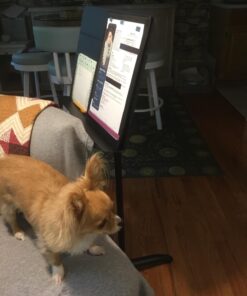 Amazon Basics Portable Sheet Music Stand - Black 33 71thIfe8pXL