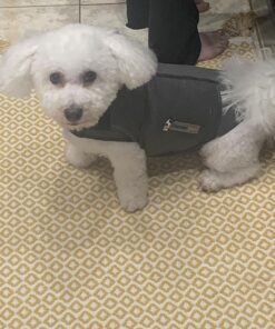 ThunderShirt Classic Dog Anxiety Jacket, Heather Grey, Small 43 71tm0kWFOL