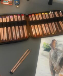 Speedball Art Products Genuine Leather Storage Case for Pencils, Makers, Pens and Art Supplies Antique Brown 120 Pencil Capacity 57 71tshD8hEbL