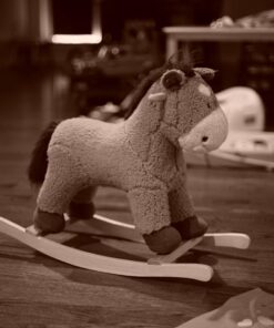 Fotasy Manual EF EFS Lens to E Mount Adapter, EF E Mount, EF Adapter to E Mount, Adapter for Cannon EF lense, Compatible with Sony a7 a7r a7s a7 II III IV a9 a9II a7c aplha 1 a6600 a6500 a6400 a6300 Canon EF - E-Mount 49 71tugDGrU7L