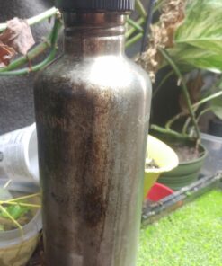 New Wave Enviro 40oz Stainless Steel Water Bottle with Strap 27 71tvfMcABPL