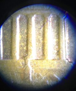 Carson MicroBrite 20x-40x LED Lighted Pocket Microscope for Learning, Education and Exploring (MM-24) 1 MicroBrite Microscope (MM-24) 37 71u lTNdpL