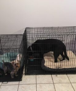 MidWest Homes for Pets Small Dog Crate, Life Stages 24' Double Door Folding Metal Dog Crate | Divider Panel, Floor Protecting Feet, Leak-Proof Dog Pan| 24L x 18W x 19H Inches, Small Dog Breed 24.0"L x 18.0"W x 19.0"H Lifestages; Double Door 33 71u2ykQ5gqL