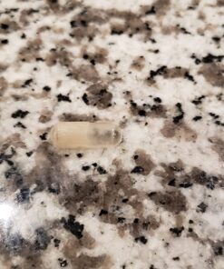 Garden of Life Multivitamin for Women, Vitamin Code Women's Multi, Whole Food Womens Multi, Vitamins, Iron, Folate not Folic Acid & Probiotics for Womens Energy, Vegetarian Supplements, 120 Capsules 120 Count (Pack of 1) 45 71u5AgsKebL