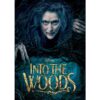 Into The Woods DVD 
                             
                            March 24, 2015