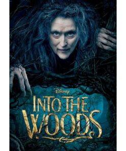 Into The Woods DVD 
                             
                            March 24, 2015